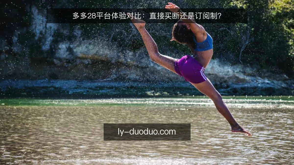 多多28平台体验对比：直接买断还是订阅制？