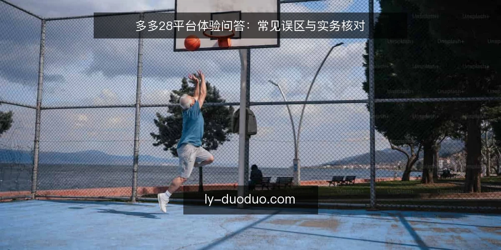 多多28平台体验问答:常见误区与实务核对 — 多多28平台体验,问什么最实际? 配图