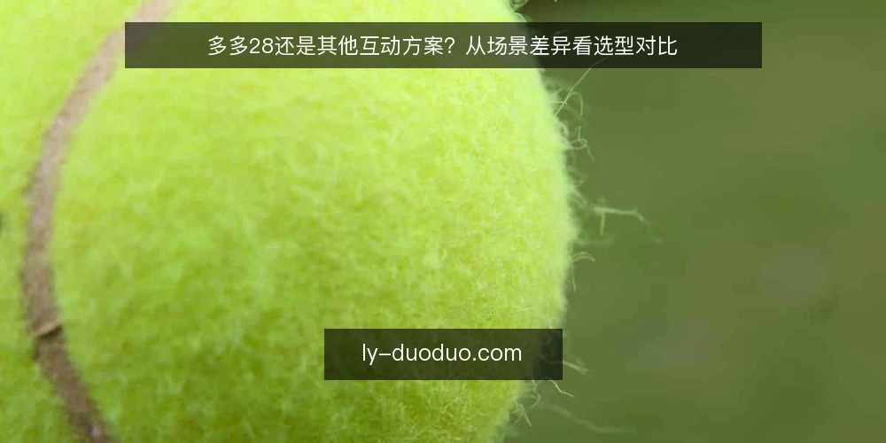 多多28还是其他互动方案？从场景差异看选型对比 — 对比前先定标准：多多28与同类方案的核心差异在哪？ 配图