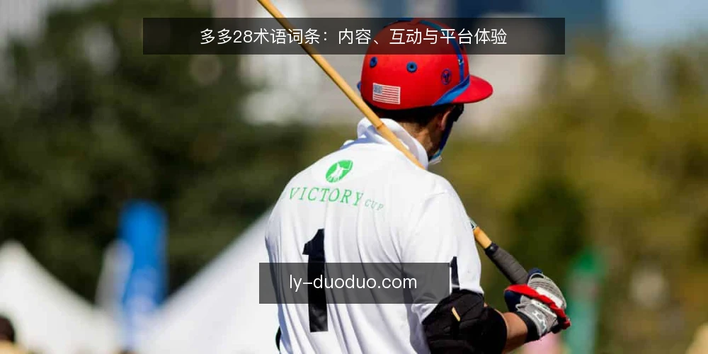 多多28术语词条：内容、互动与平台体验 — 多多28是什么：术语与基本概念 配图