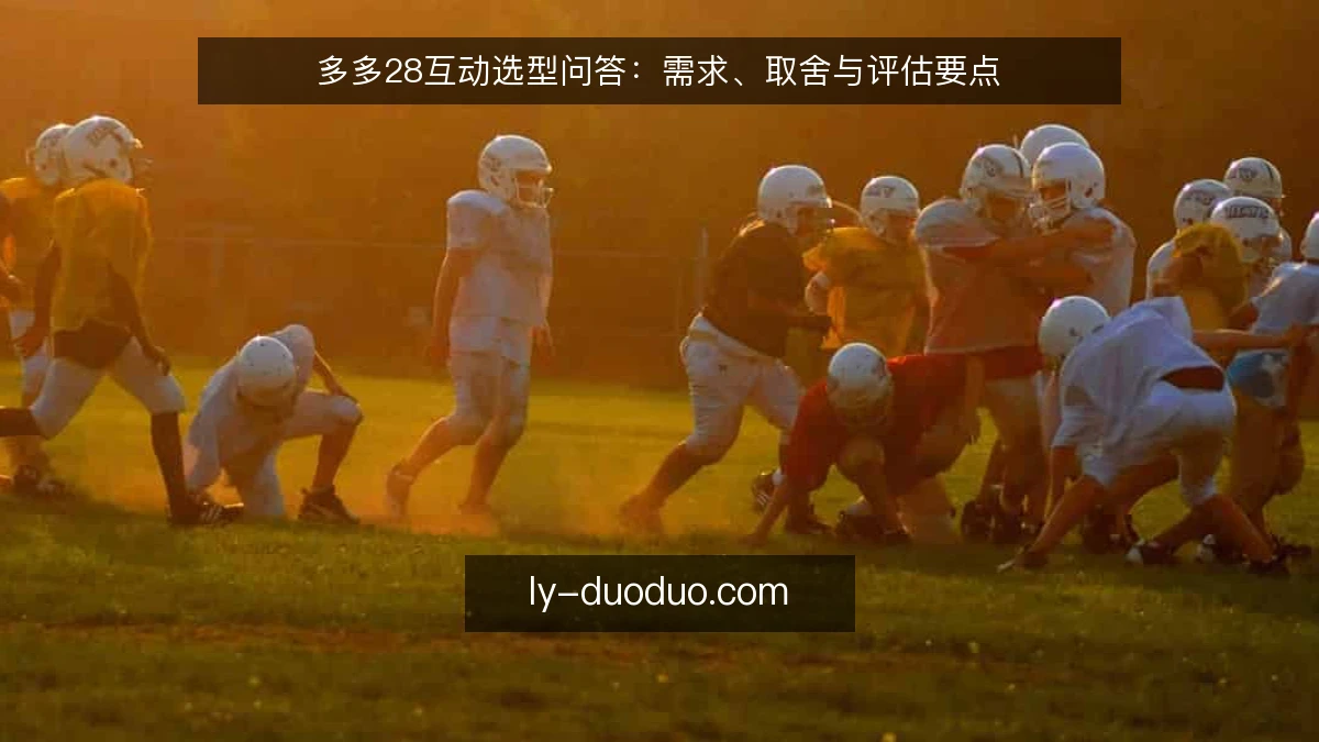 多多28互动选型问答：需求、取舍与评估要点