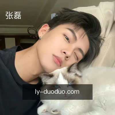 张磊